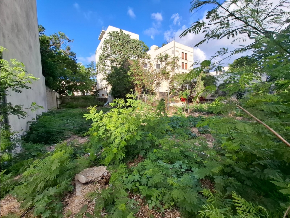 Terreno a la venta de 250 m2 - 3