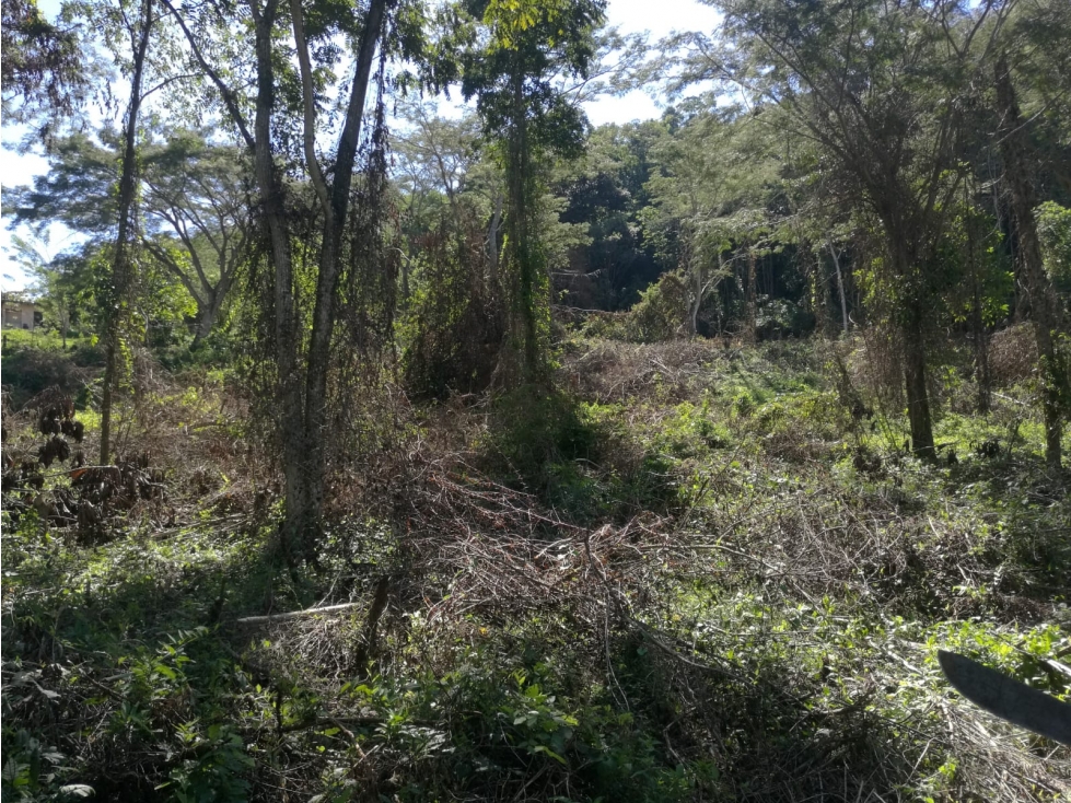 Oportunidad Única. Lote Alto De Las Palmas — foto 6