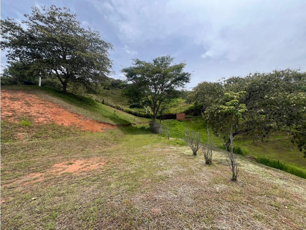 VENTA CASA - LOTE EN SAN JERÓNIMO, ANTIOQUIA - 6