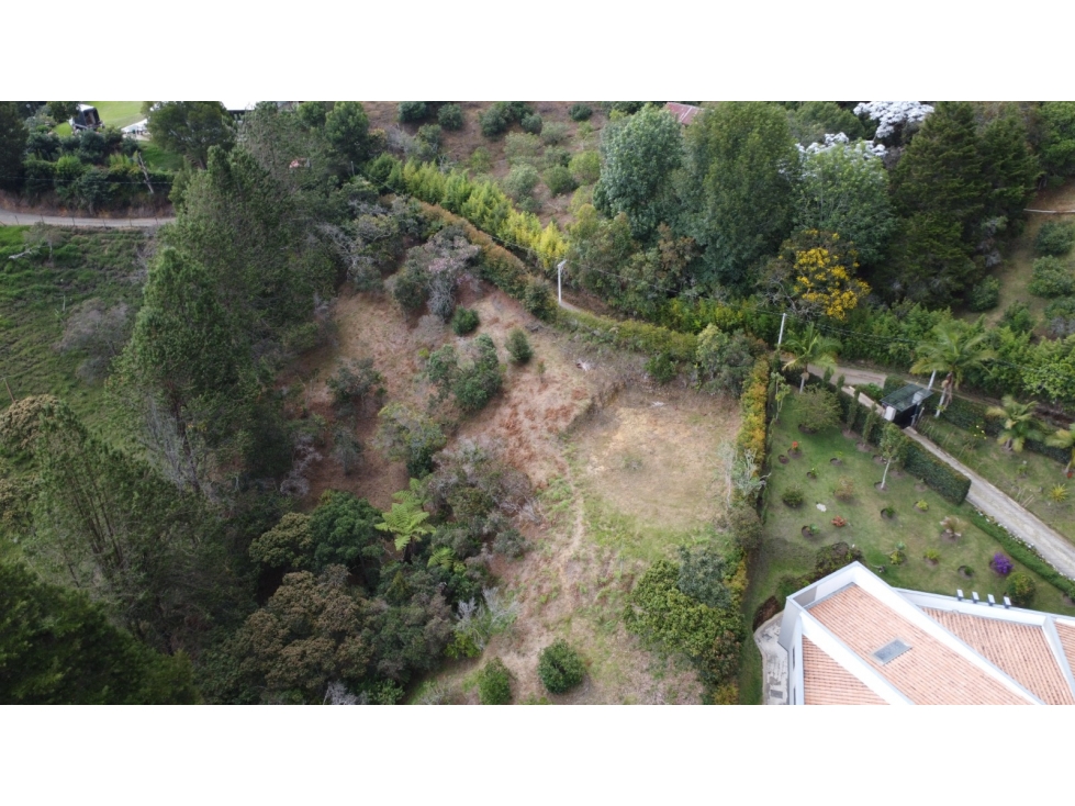 VENTA DE LOTE PRODUCTIVO EN GUARNE- ANTIOQUÍA — foto 4