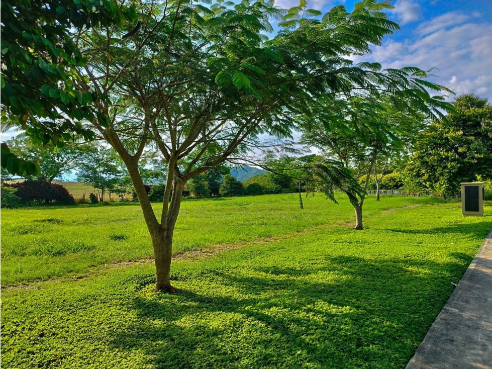 VENTA LOTE EN PEREIRA, RISARALDA — foto 4