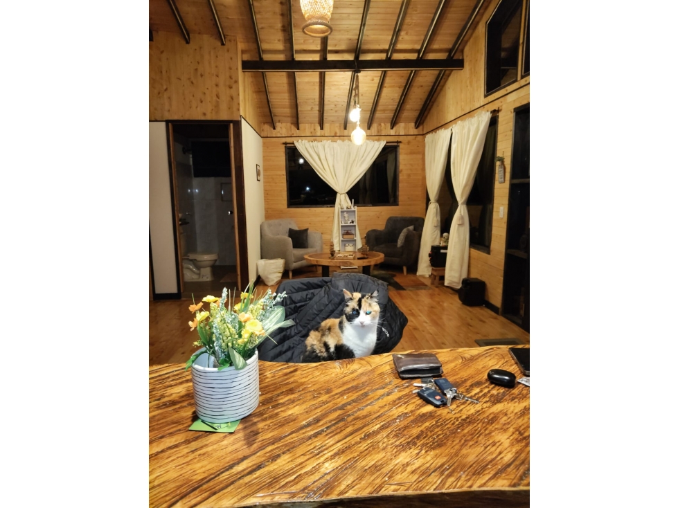 Venta Finca Amoblada en Santa Elena Vereda Mazo — foto 4