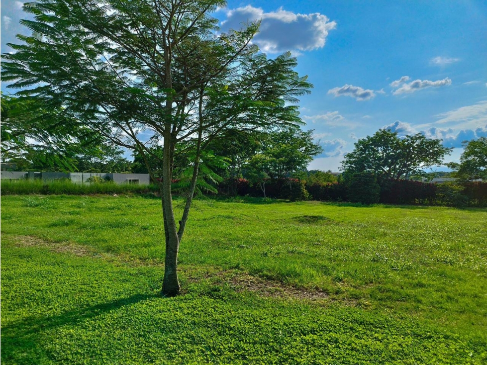 VENTA LOTE EN PEREIRA, RISARALDA — foto 3