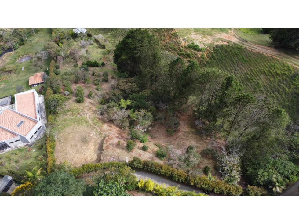 VENTA DE LOTE PRODUCTIVO EN GUARNE- ANTIOQUÍA — foto 5