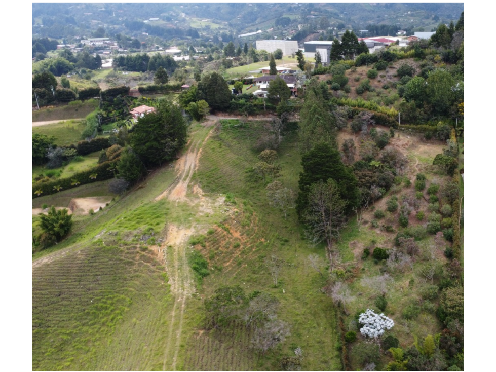 VENTA DE LOTE PRODUCTIVO EN GUARNE- ANTIOQUÍA — foto 3
