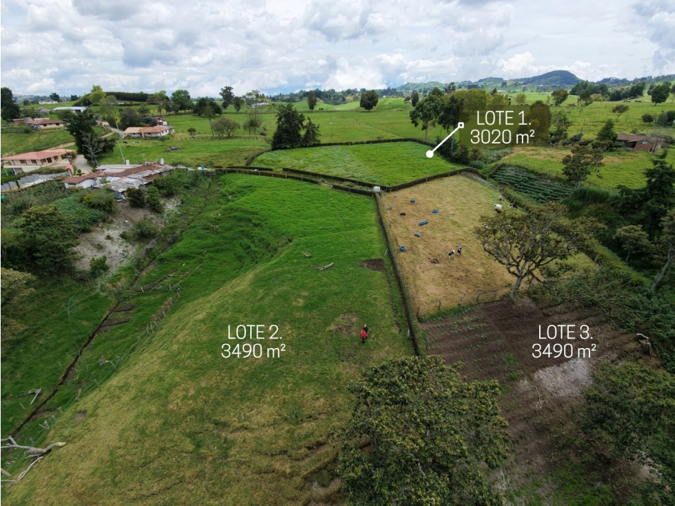 Venta de 3 Lotes en San Pedro de los Milagros
