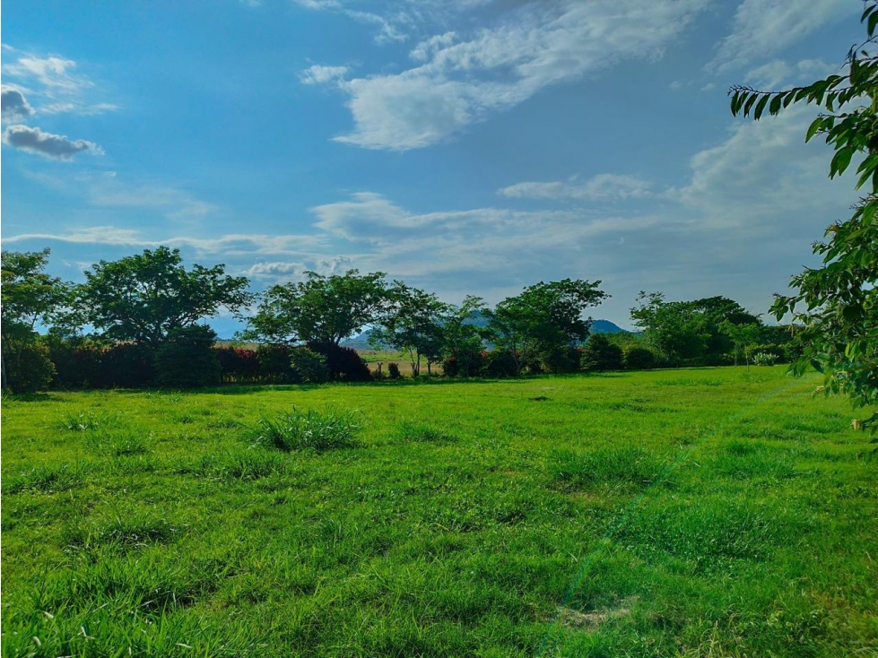 VENTA LOTE EN PEREIRA, RISARALDA — foto 6