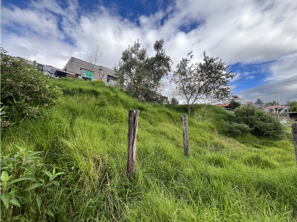 #145 Casa Con Terreno, Sector El Valle - 4