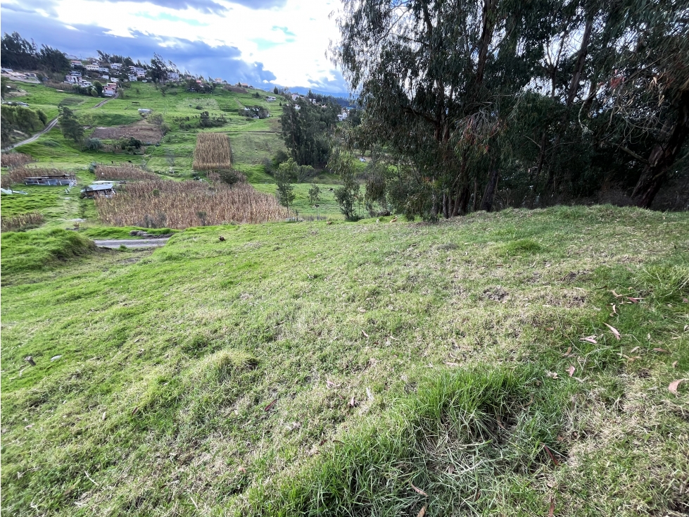 #145 Casa Con Terreno, Sector El Valle - 6