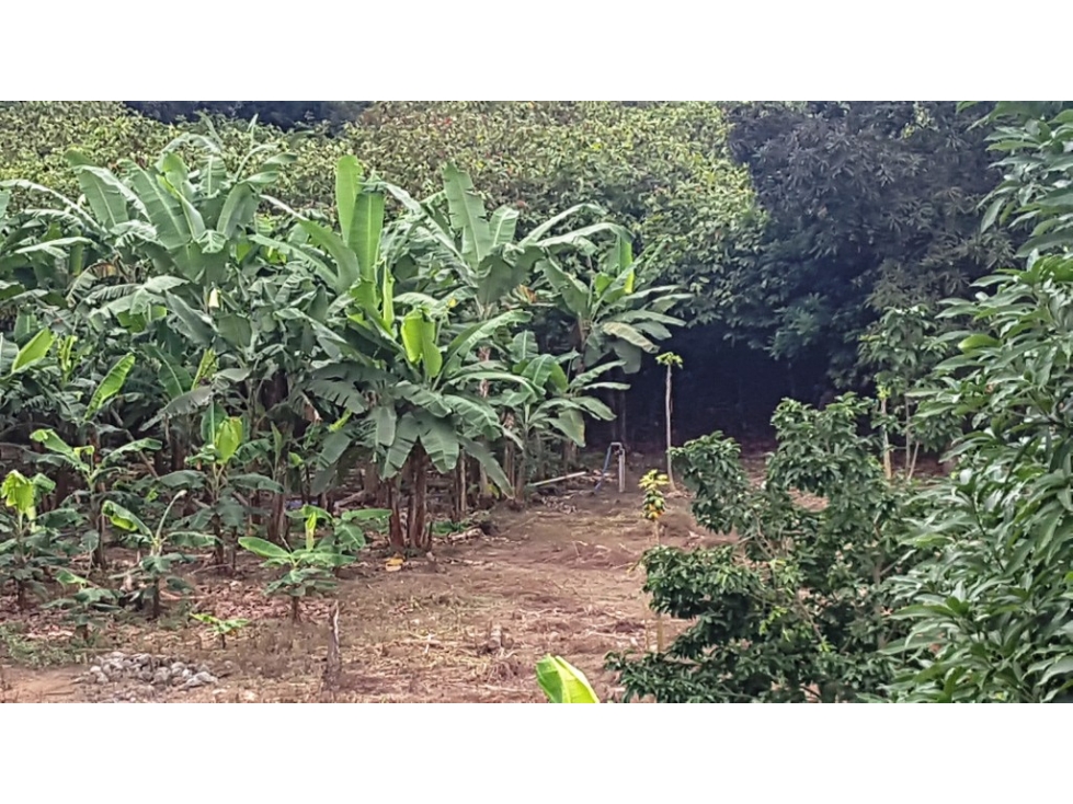 #7 Terrenos En Venta En Puerto Inca - 3