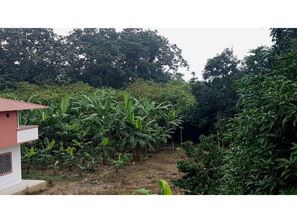 #7 Terrenos En Venta En Puerto Inca - 5