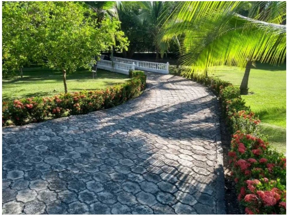 FINCA EN VENTA SAN JERONIMO AMOBLADA 5000 M2 — foto 4