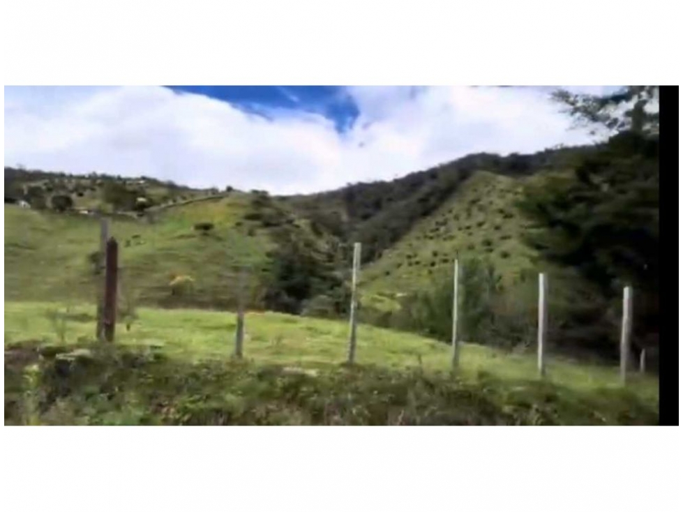 FINCA EN VENTA EN EL RETIRO ANTIOQUIA - 4
