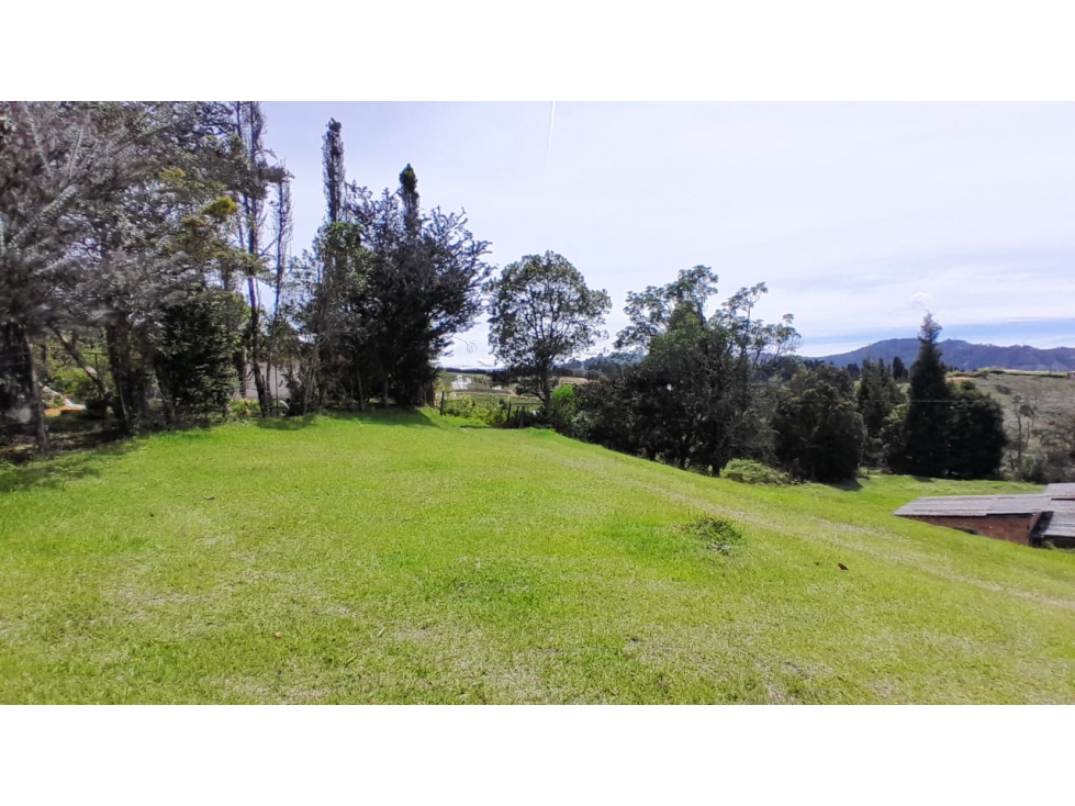 FINCA GUARNE A 13 MINUTOS DEL AEROPUERTO 128.768 M2