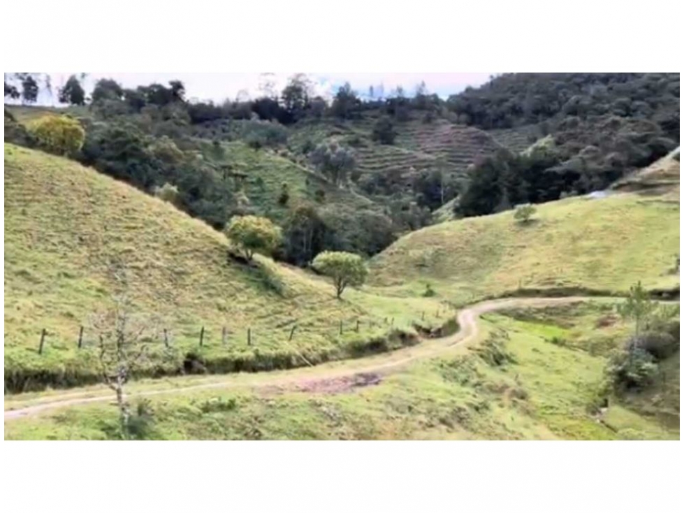 FINCA EN VENTA EN EL RETIRO ANTIOQUIA - 5