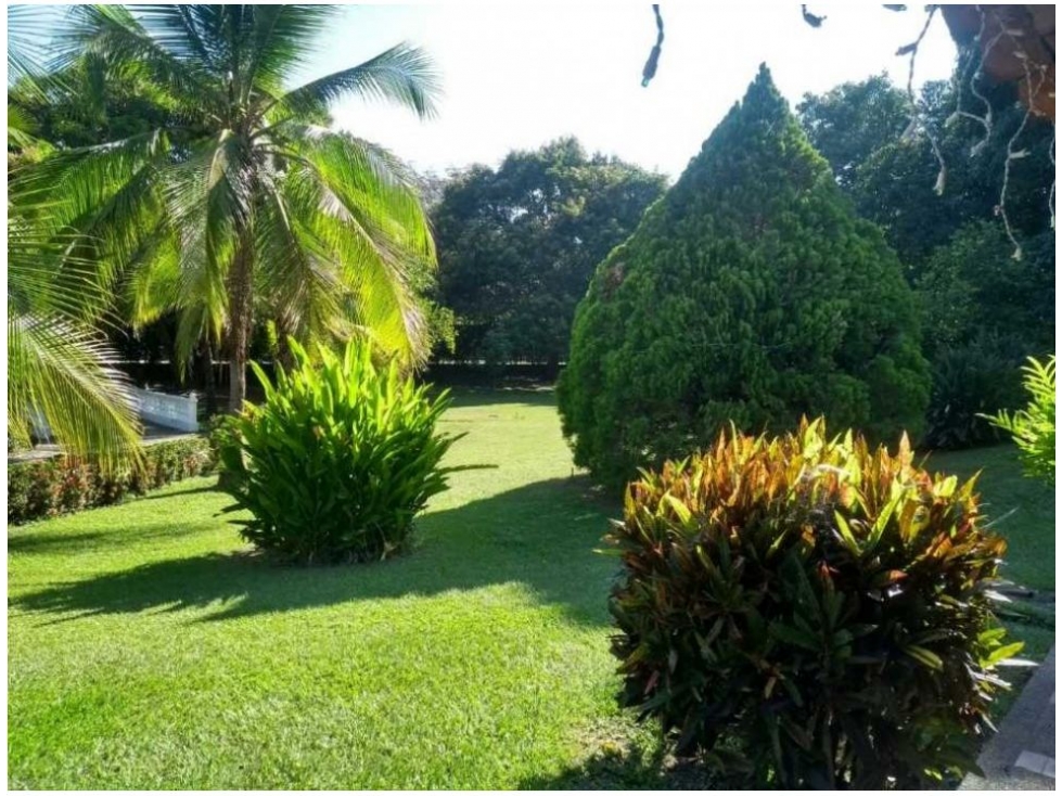 FINCA EN VENTA SAN JERONIMO AMOBLADA 5000 M2 — foto 3