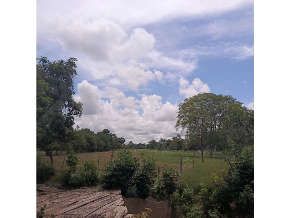 FINCA VIA AL CERRITO, MONTERIA — foto 2