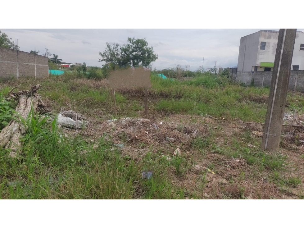 LOTES EN VENTA - URB. SAN FRANCISCO - MONTERIA - CORDOBA