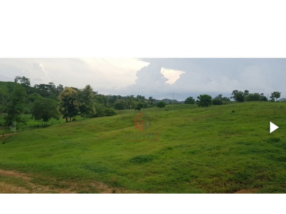 FINCA 96HECTAREAS EN VENTA - SAN CARLOS , CORDOBA.