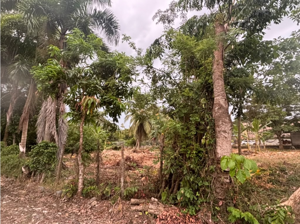 LOTE EN VENTA EL FARO - 3