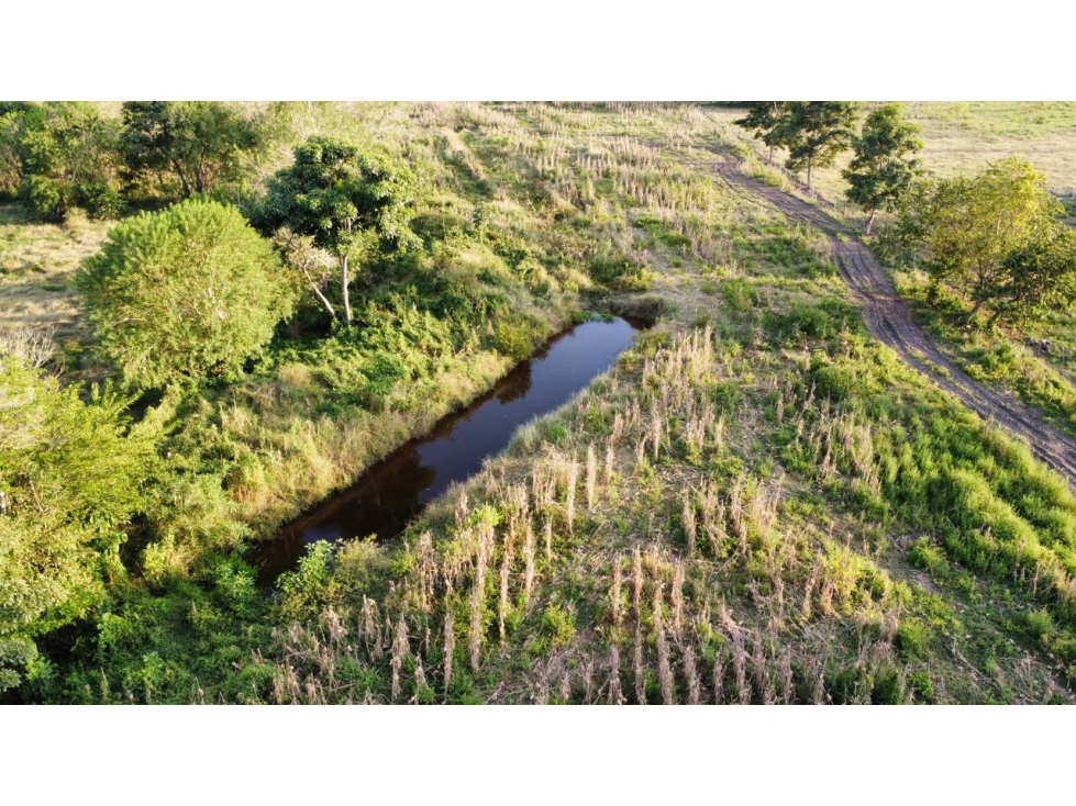 FINCA VIA AL CERRITO, MONTERIA