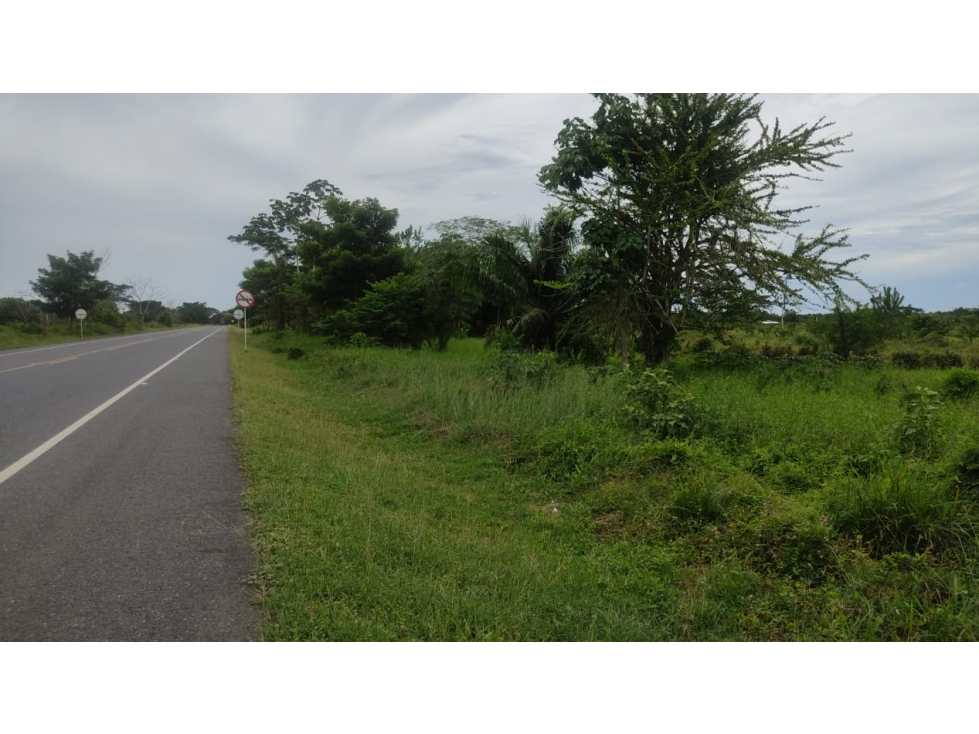 TERRENO DE 8 HECTAREAS EN VENTA KM 15 VIA SAN CARLOS, CORDOBA. — foto 2