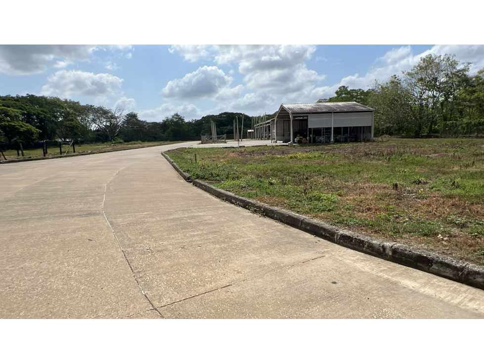 PREDIO CON ACTIVIDAD INDUSTRIAL EN VENTA — foto 2