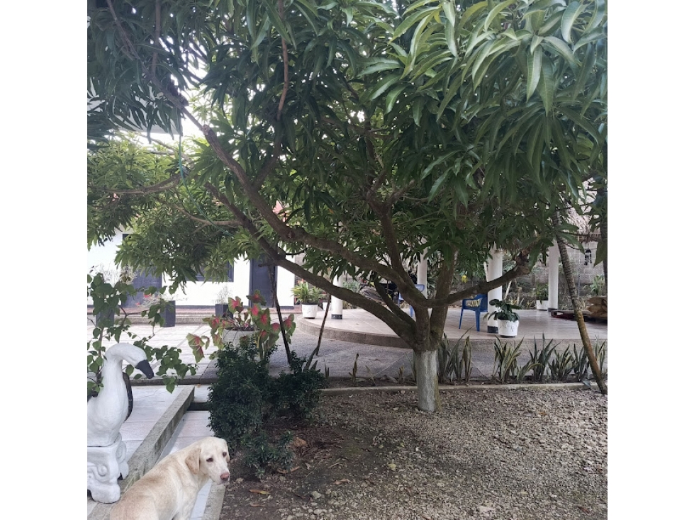 CASA FINCA VENTA SECTOR CALIFORNIA MONTERIA CERETE - 3