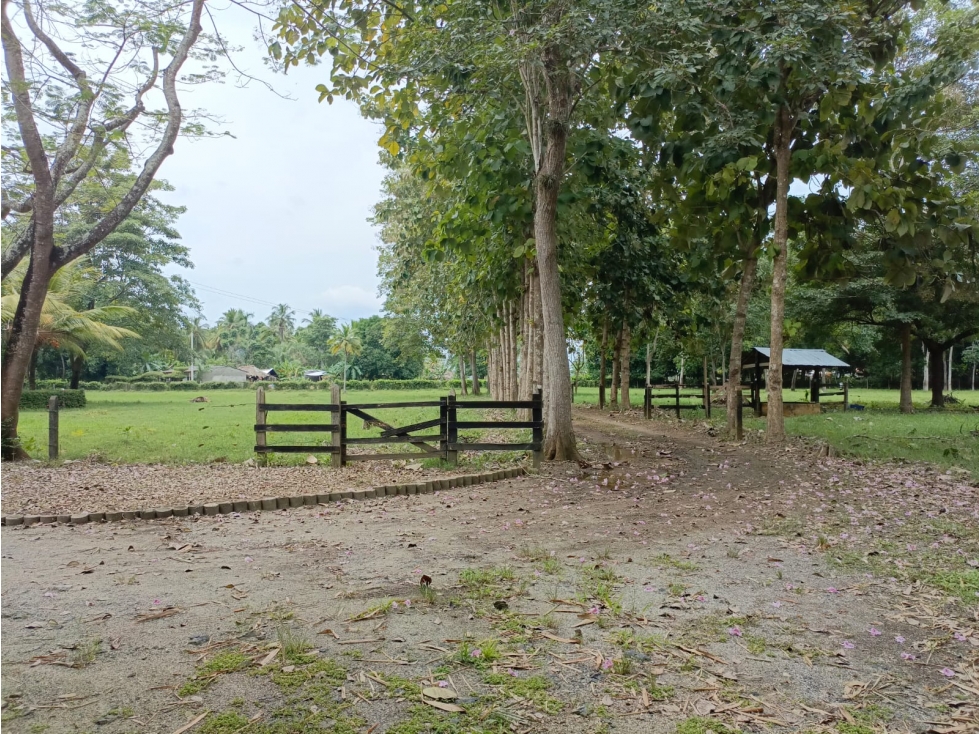 CASA FINCA ARRENDAMIENTO VIA AL CEIBAL MONTERIA - 3