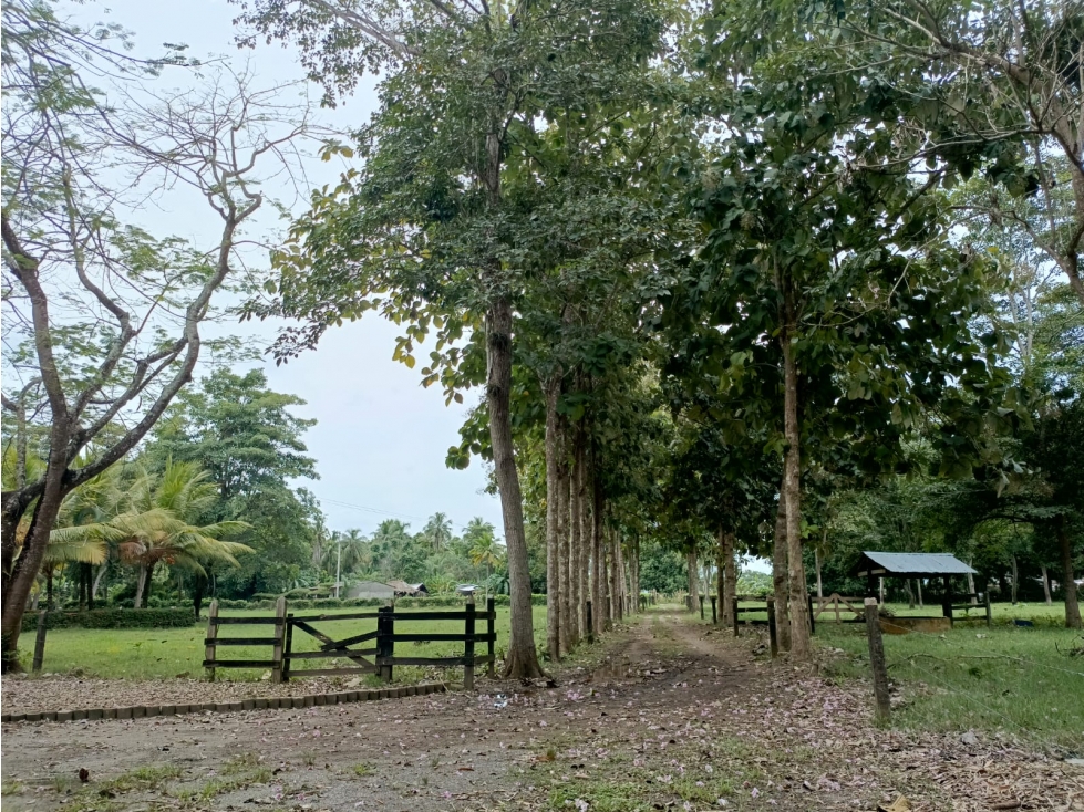 CASA FINCA ARRENDAMIENTO VIA AL CEIBAL MONTERIA - 2