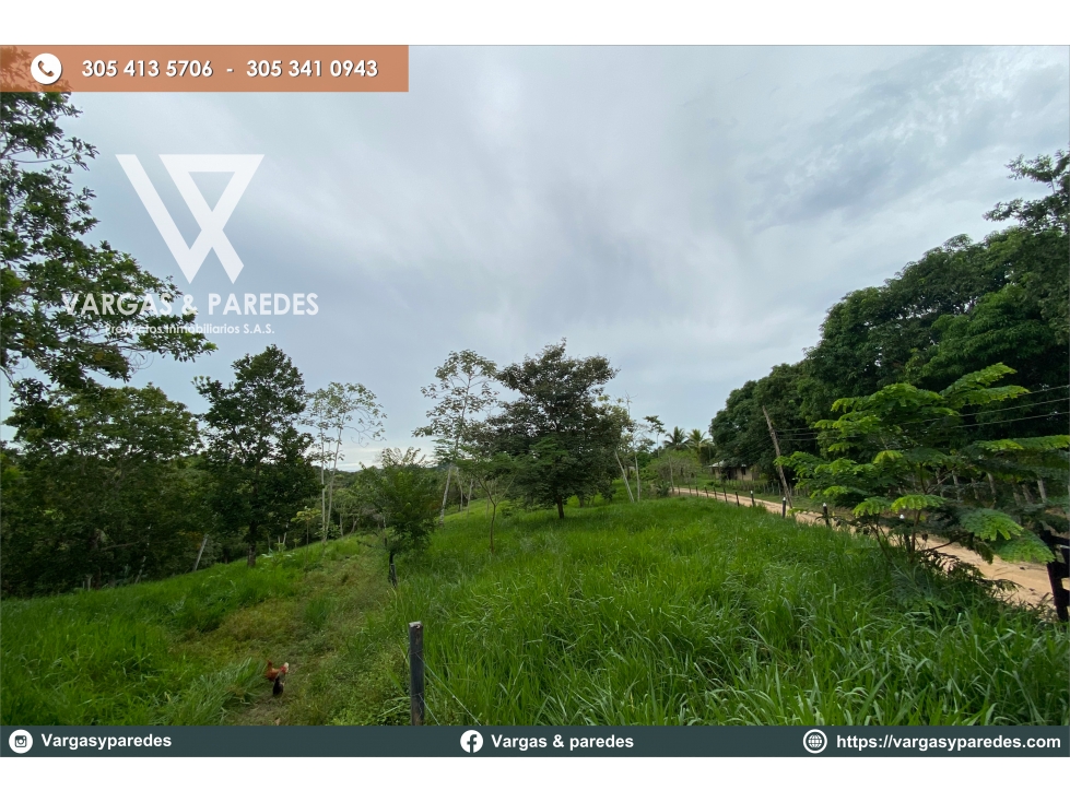 FINCA DE 19 HECTAREAS EN VENTA GUACHARACAL - SAN CARLOS , CORDOBA.