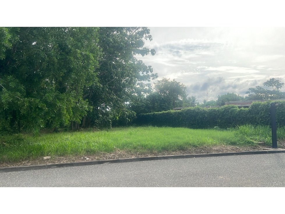 LOTE CONJUNTO CAMPESTRE BALMORAL (MONTERIA) — foto 2