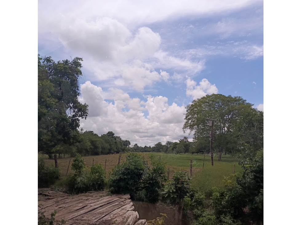 FINCA VIA AL CERRITO, MONTERIA — foto 3