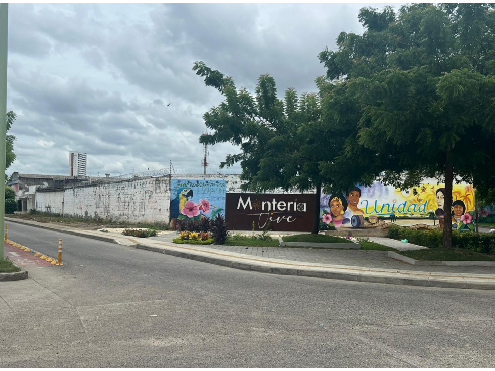 LOTE EN VENTA CENTRO VISTA AL RIO MONTERÍA CÓRDOBA — foto 2