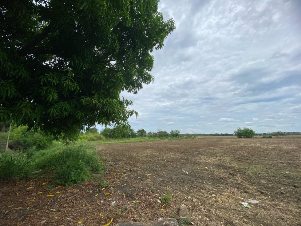 LOTE EN VENTA VIA ARBOLETES — foto 2