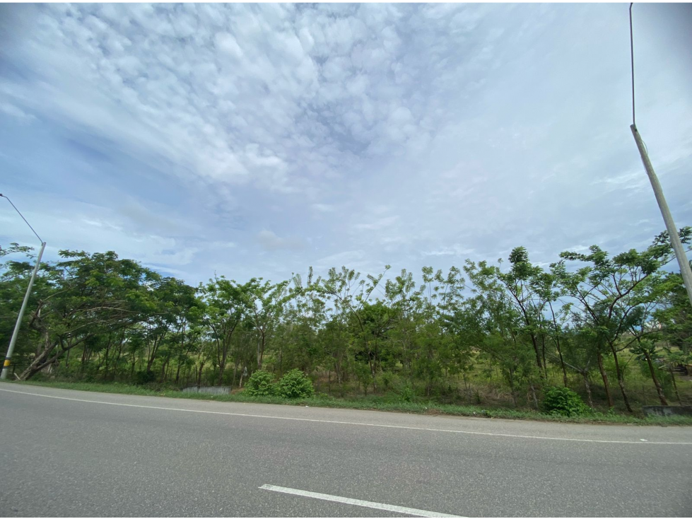 LOTE EN VENTA SECTOR NORTE POR LA VARIANTE MONTERÍA CÓRDOBA