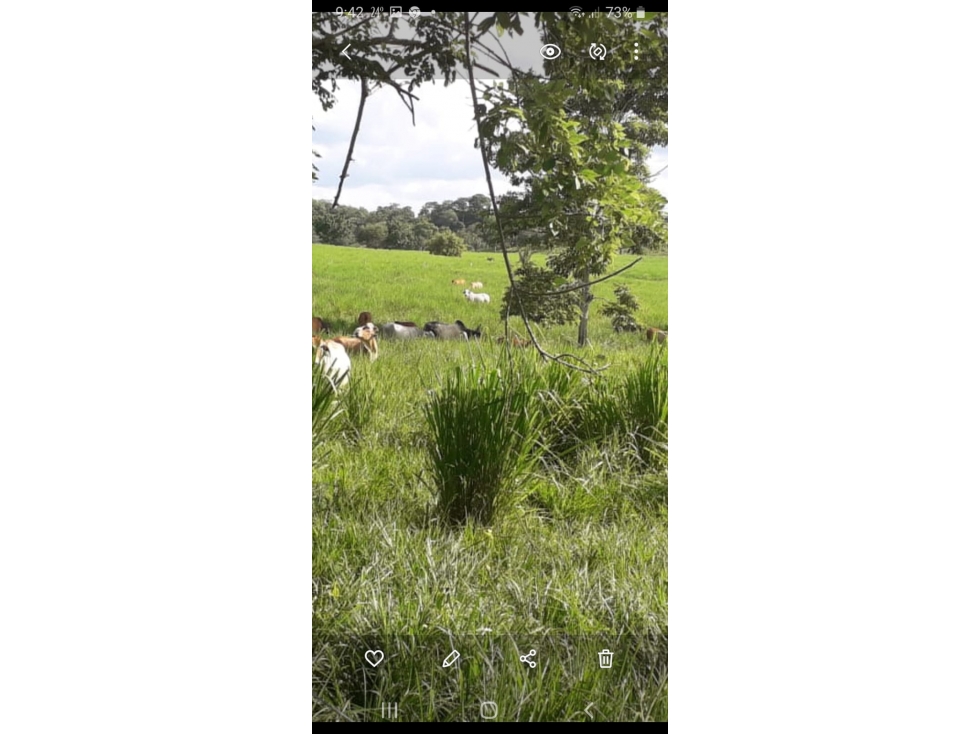 FINCA EN VENTA CIENAGA DE ORO - 2