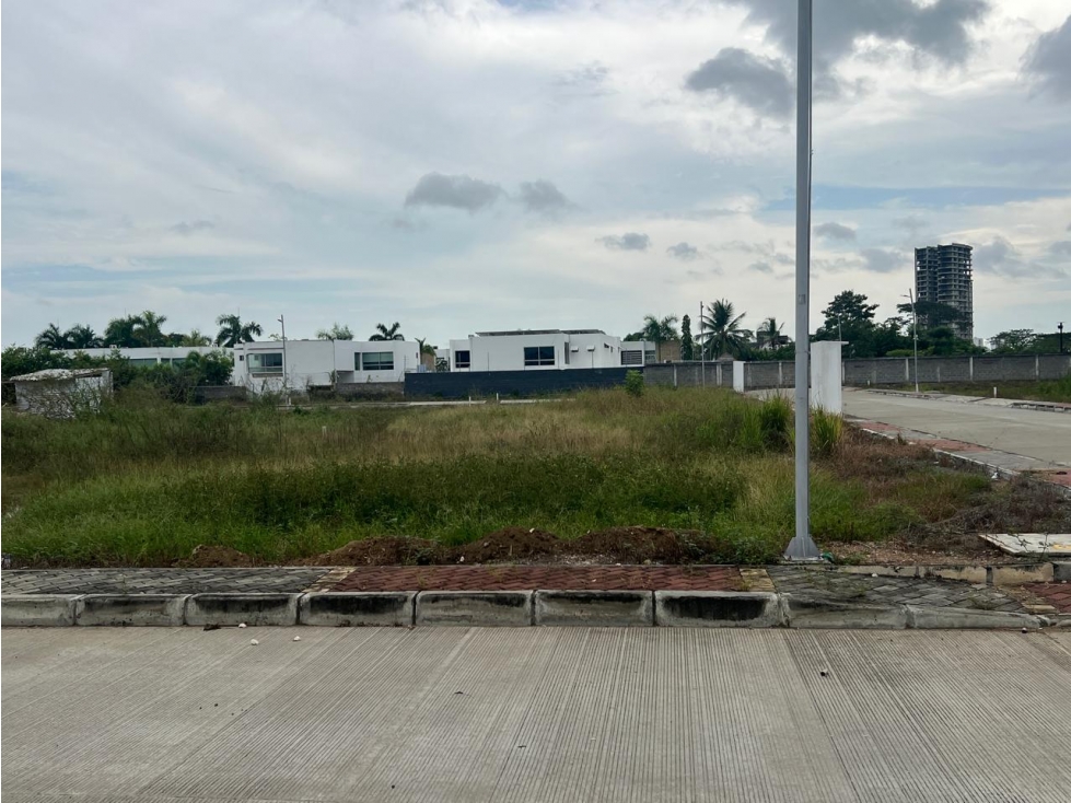 LOTE EN VENTA UNIDAD CERRADA NORTE PRADOS DE PICACHO- MONTERIA — foto 3