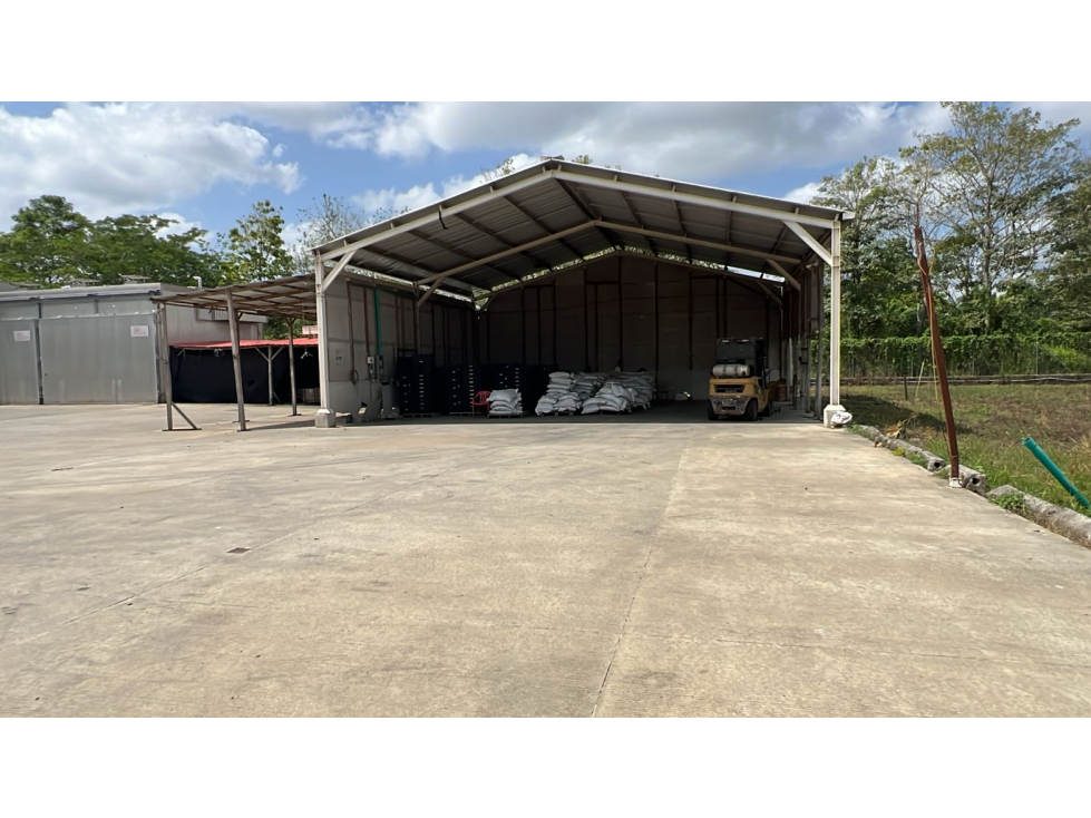 PREDIO CON ACTIVIDAD INDUSTRIAL EN VENTA — foto 3