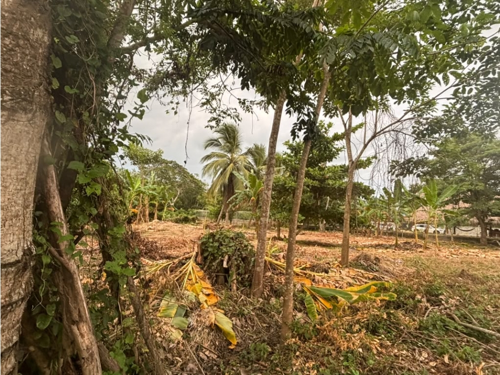 LOTE EN VENTA EL FARO - 4