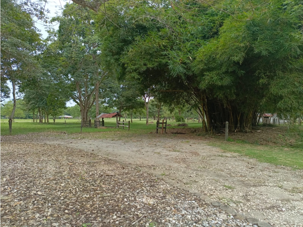 CASA FINCA ARRENDAMIENTO VIA AL CEIBAL MONTERIA - 5