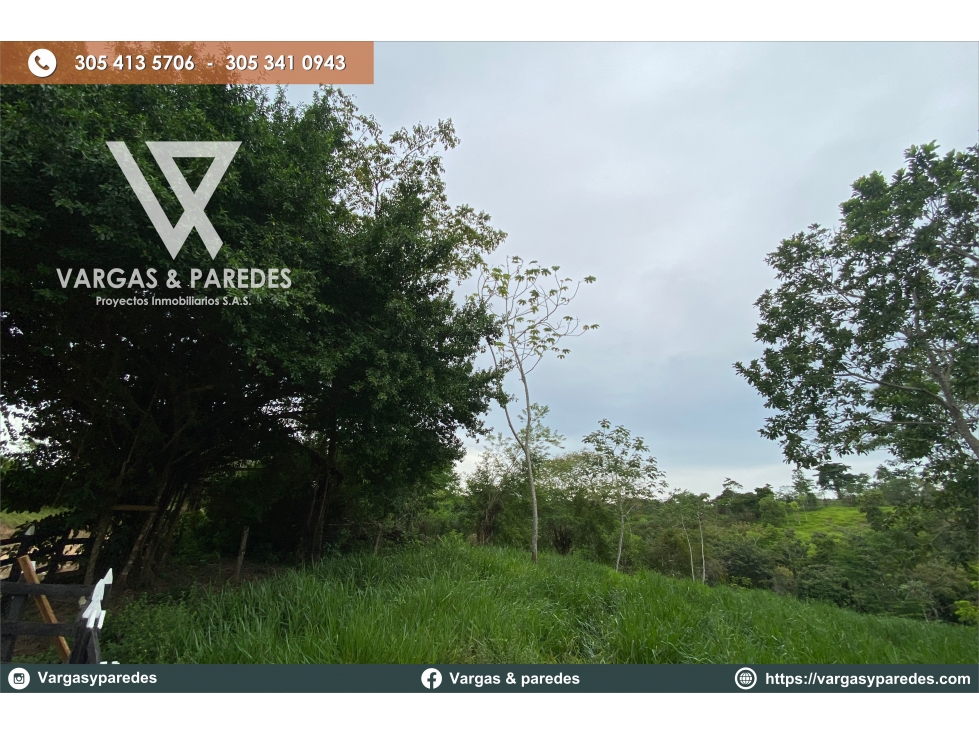 FINCA DE 19 HECTAREAS EN VENTA GUACHARACAL - SAN CARLOS , CORDOBA. — foto 2
