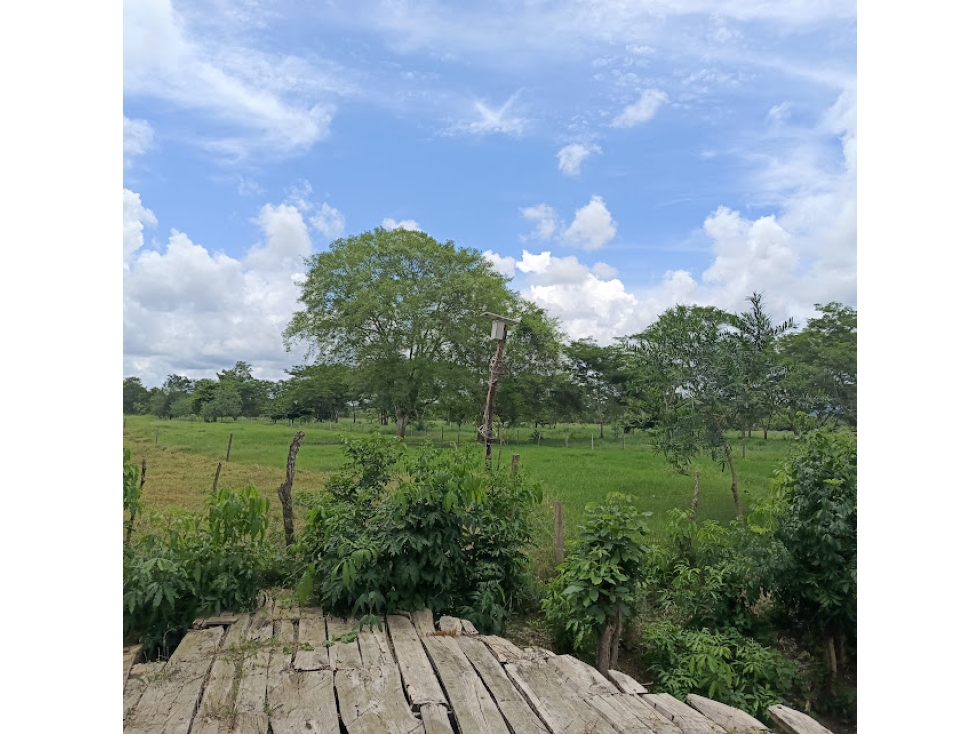 FINCA VIA AL CERRITO, MONTERIA — foto 4
