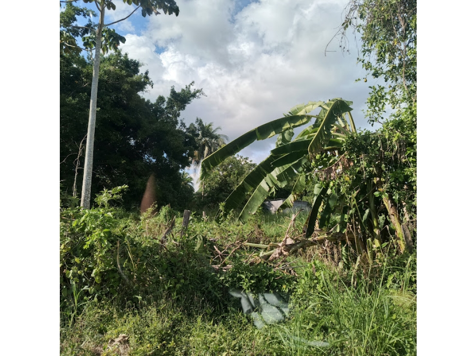 LOTE BARRIO NUEVO BOSQUE SECTOR MOCARI VENTA — foto 3