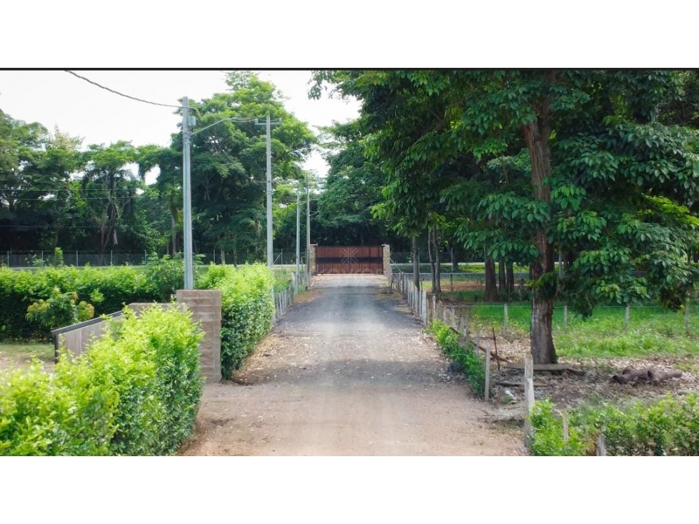 Lote campestre via Arboletes — foto 3