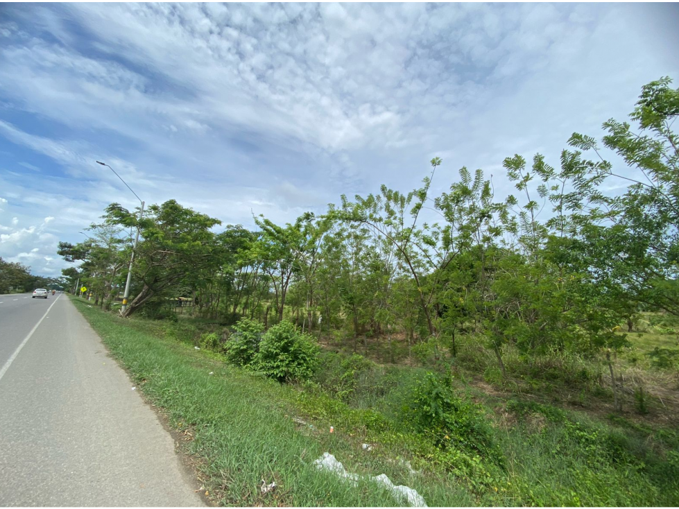 LOTE EN VENTA SECTOR NORTE POR LA VARIANTE MONTERÍA CÓRDOBA — foto 2