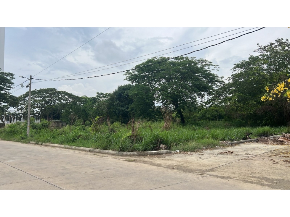 LOTE EN VENTA RECREO MONTERÍA — foto 3