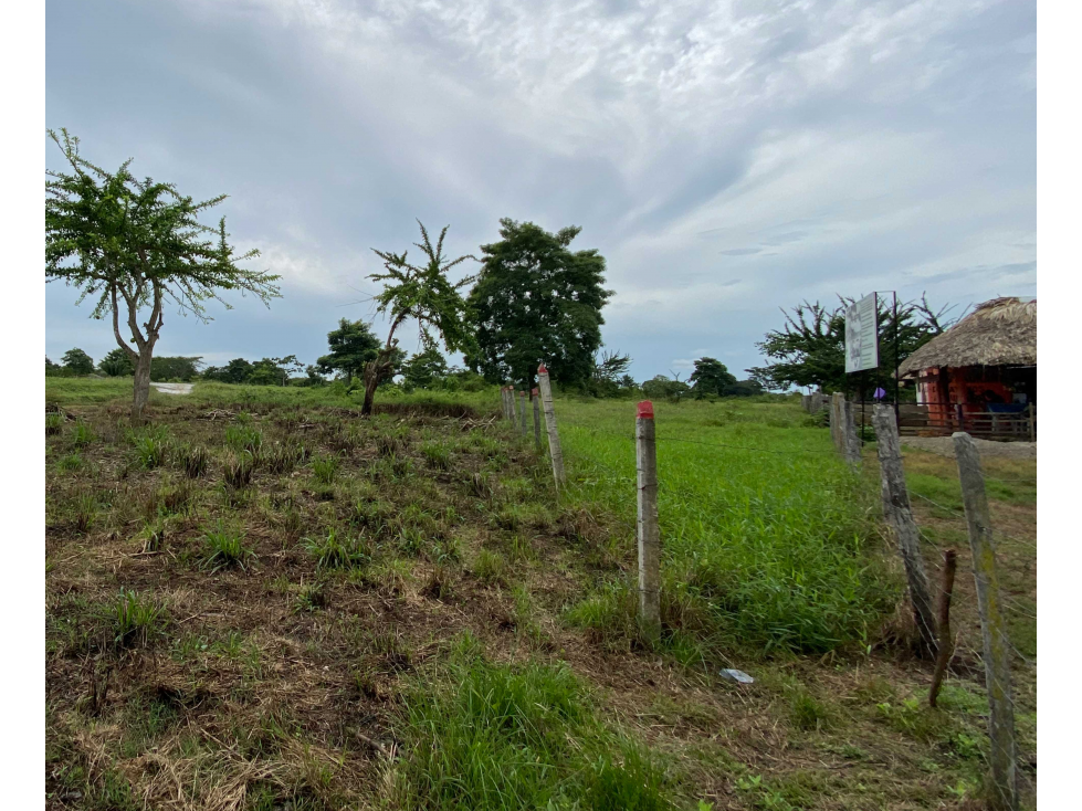 TERRENO DE 8 HECTAREAS EN VENTA KM 15 VIA SAN CARLOS, CORDOBA. — foto 3
