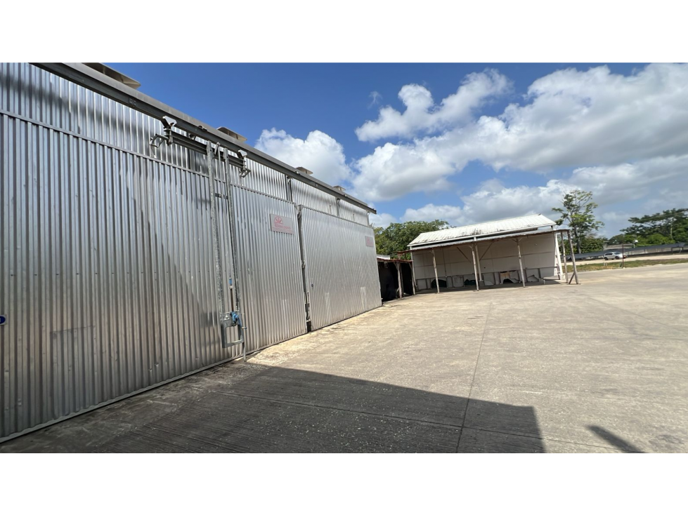 PREDIO CON ACTIVIDAD INDUSTRIAL EN VENTA — foto 6
