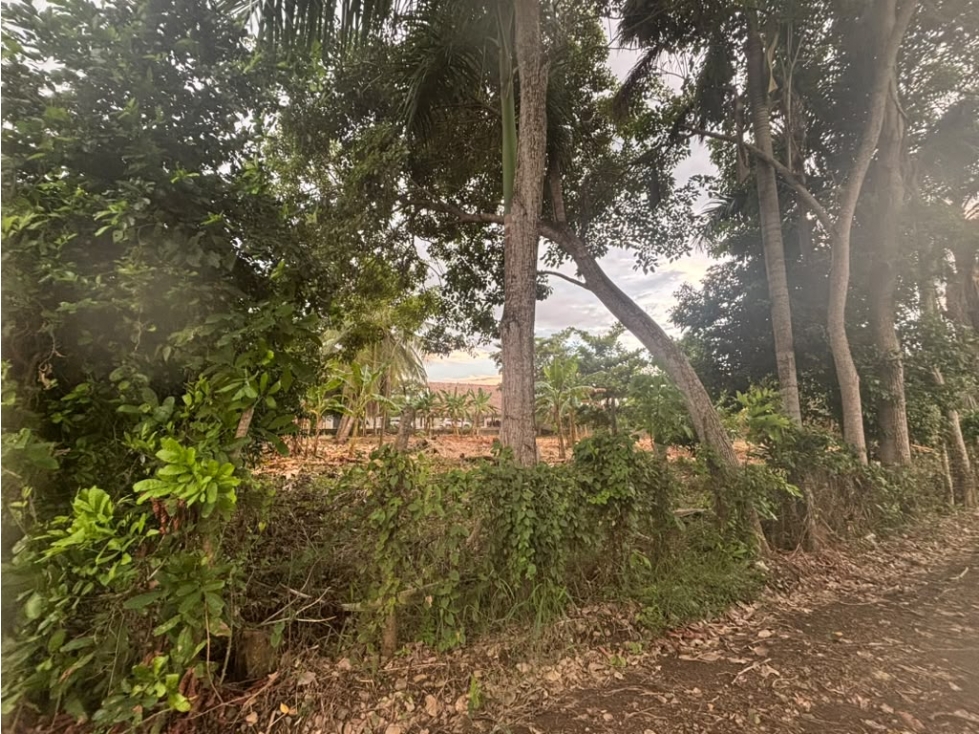 LOTE EN VENTA EL FARO - 5